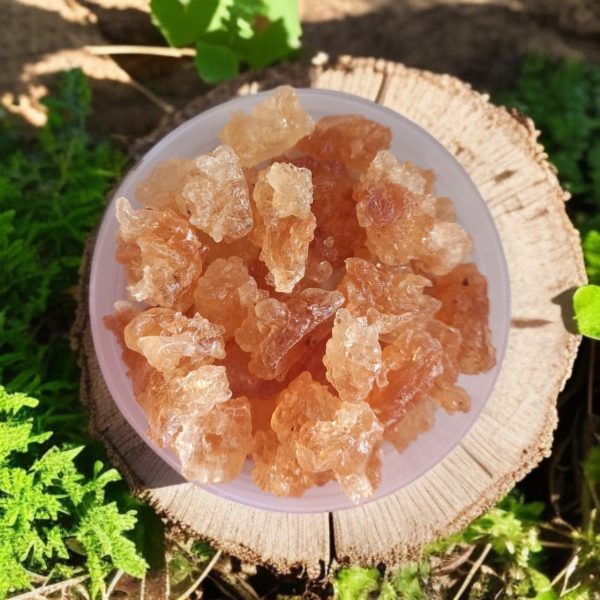 Gond Katira Pure Organic tragacanth Crystals Talu size Burma