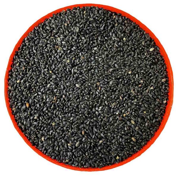 Basil Seeds Tukmaria Seed with high fibre and Omega 3 | Sabja Seed | Seeds for Eating - Image 2
